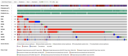 仁東醫(yī)療攜手海計(jì)系統(tǒng) 臨床科研助理軟件首發(fā)，一站式解決大數(shù)據(jù)難題